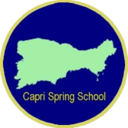 21st Capri Spring School